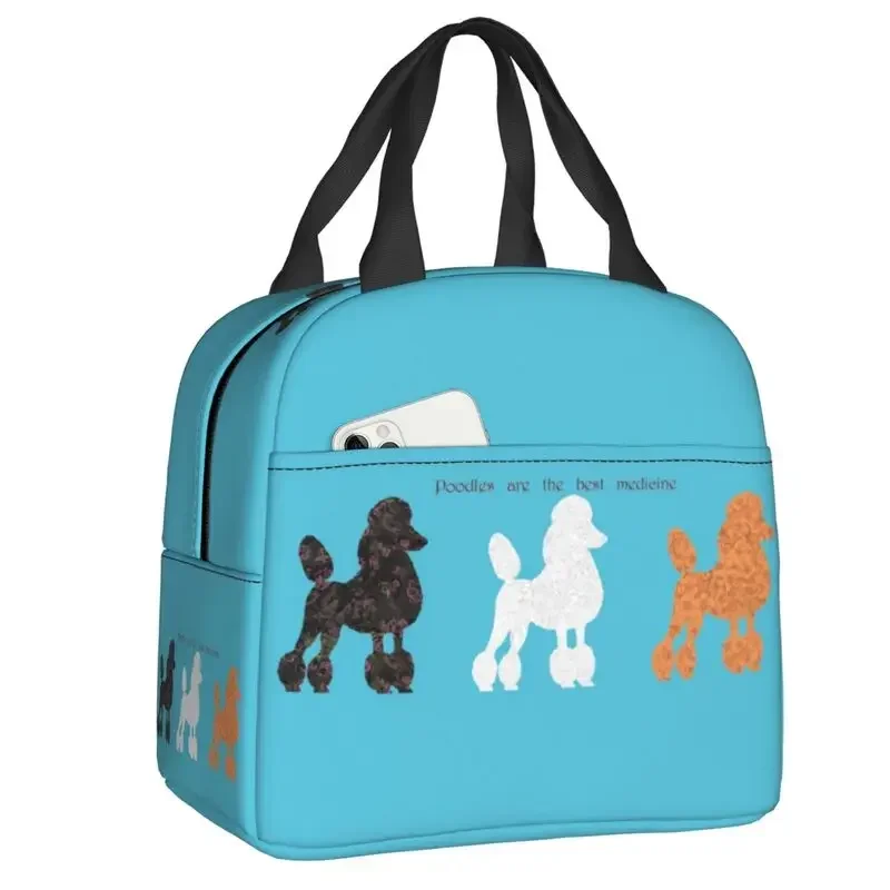 Torba termiczna na lunch dla k – Women'S Best Bags For Work recenzja i cena